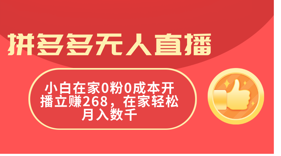（11521期）拼多多无人直播，小白在家0粉0成本开播立赚268，在家轻松月入数千-金鼎聊项目