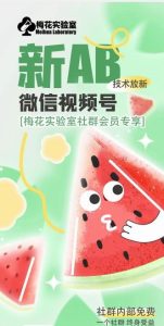 梅花实验室2024年AB技术视频号AB合成破解版-金鼎聊项目