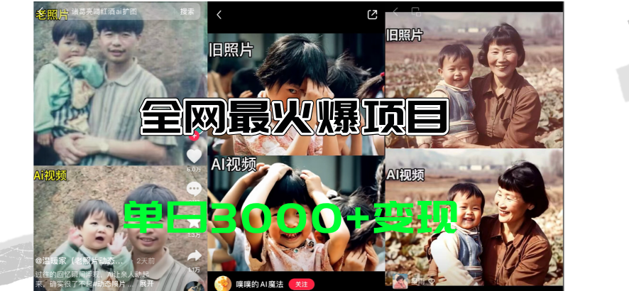 （11546期）全网爆火的AI让老照片动起来教程，蹭热点日赚3000+，内含免费工具一键…-金鼎聊项目