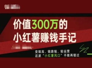 价值300万的小红书赚钱手记，变现高、链路短、轻运营，这波“小红薯风口”不能再错过-金鼎聊项目