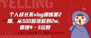 个人成长系vlog训练营2期，从500粉涨粉到2w，变现4～5位数-金鼎聊项目