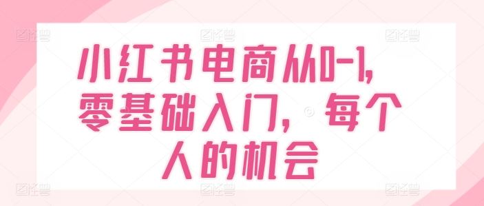 小红书电商从0-1，零基础入门，每个人的机会-金鼎聊项目