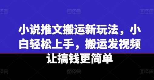 小说推文搬运新玩法，小白轻松上手，搬运发视频让搞钱更简单-金鼎聊项目