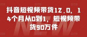 抖音短视频带货12.0，14个月从0到1，短视频带货90万件-金鼎聊项目