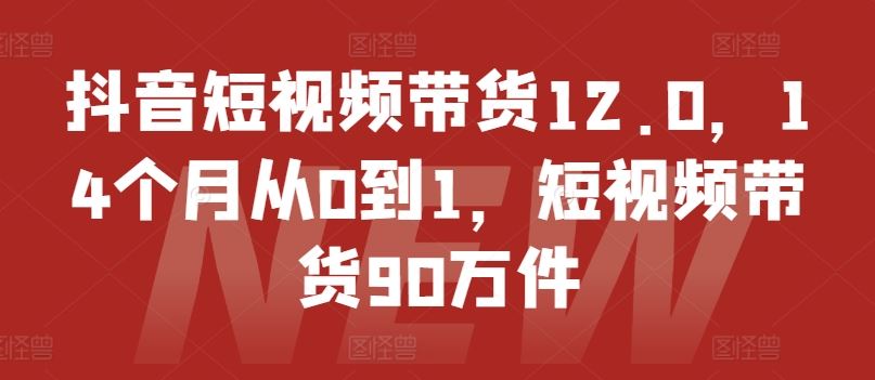 抖音短视频带货12.0，14个月从0到1，短视频带货90万件-金鼎聊项目
