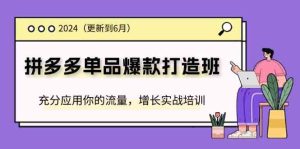 2024拼多多单品爆款打造班,充分应用你的流量,增长实战培训(更新6月)-金鼎聊项目