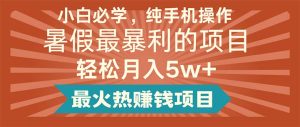 （11583期）小白必学，纯手机操作，暑假最暴利的项目轻松月入5w+最火热赚钱项目-金鼎聊项目