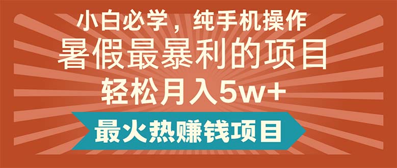 （11583期）小白必学，纯手机操作，暑假最暴利的项目轻松月入5w+最火热赚钱项目-金鼎聊项目