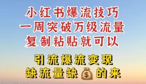 小红书爆流技巧，一周突破万级流量，复制粘贴就可以，引流爆流变现【揭秘】-金鼎聊项目
