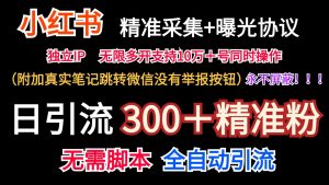 小红薯精准采集＋无限曝光＋真实笔记跳转微信，永不屏蔽（日引300＋精准粉）-金鼎聊项目