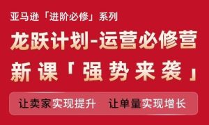 亚马逊进阶必修系列，龙跃计划-运营必修营新课，让卖家实现提升 让单量实现增长-金鼎聊项目
