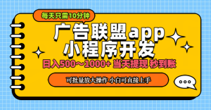 （11645期）小程序开发 广告赚钱 日入500~1000+ 小白轻松上手！-金鼎聊项目