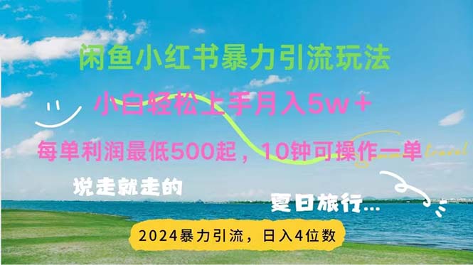 （11650期）2024暑假赚钱项目小红书咸鱼暴力引流，简单无脑操作，每单利润500+，…-金鼎聊项目