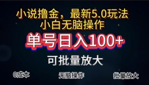（11651期）全自动小说撸金，单号日入100+小白轻松上手，无脑操作-金鼎聊项目