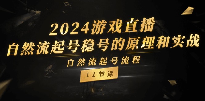 （11653期）2024游戏直播-自然流起号稳号的原理和实战，自然流起号流程（11节）-金鼎聊项目