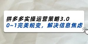(11658期)2024_2025拼多多实操运营策略3.0,0~1完美蜕变,解决信息焦虑(38节)-金鼎聊项目