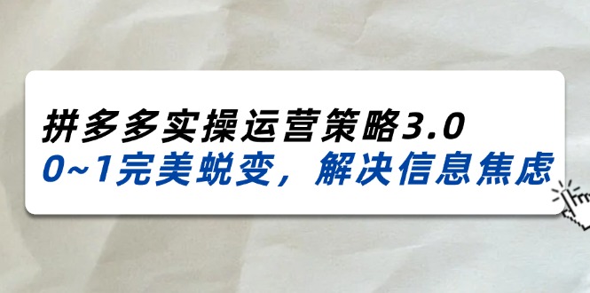 (11658期)2024_2025拼多多实操运营策略3.0,0~1完美蜕变,解决信息焦虑(38节)-金鼎聊项目