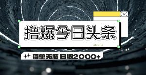 （11665期）撸爆今日头条 简单无脑操作 日收2000+-金鼎聊项目