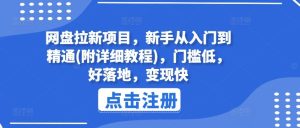 网盘拉新项目，新手从入门到精通(附详细教程)，门槛低，好落地，变现快-金鼎聊项目