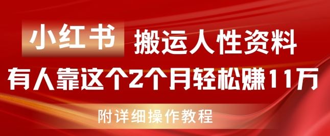 小红书搬运人性资料，有人靠这个2个月轻松赚11w，附教程【揭秘】-金鼎聊项目