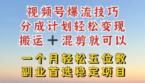 视频号爆流技巧，分成计划轻松变现，搬运 +混剪就可以，一个月轻松五位数稳定项目【揭秘】-金鼎聊项目