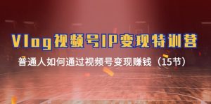 Vlog视频号IP变现特训营，普通人如何通过视频号变现赚钱（15节）-金鼎聊项目