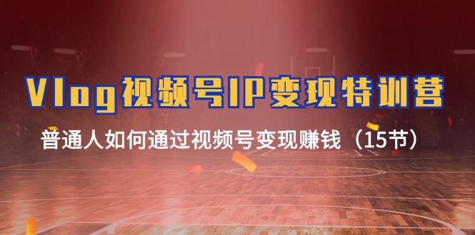 Vlog视频号IP变现特训营，普通人如何通过视频号变现赚钱（15节）-金鼎聊项目