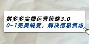 2024-2025拼多多实操运营策略3.0，0~1完美蜕变，解决信息焦虑（38节）-金鼎聊项目