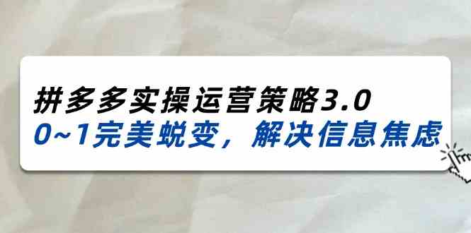 2024-2025拼多多实操运营策略3.0，0~1完美蜕变，解决信息焦虑（38节）-金鼎聊项目