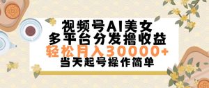 （11684期）视频号AI美女，轻松月入30000+,操作简单轻松上手-金鼎聊项目