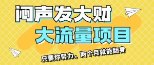 (11688期)闷声发大财,大流量项目,月收益过3万,只要你努力,两个月就能翻身-金鼎聊项目