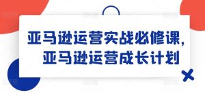 亚马逊运营实战必修课，亚马逊运营成长计划-金鼎聊项目