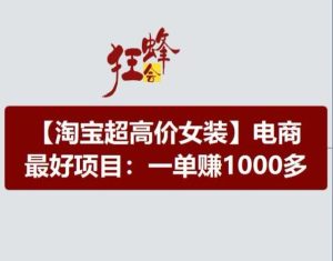 淘宝超高价女装项目，电商最好赛道，一单赚1000多-金鼎聊项目
