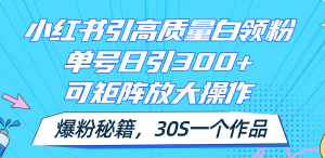 (11692期)小红书引高质量白领粉,单号日引300+,可放大操作,爆粉秘籍!30s一个作品-金鼎聊项目