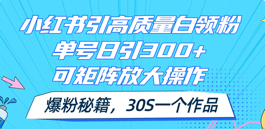 (11692期)小红书引高质量白领粉,单号日引300+,可放大操作,爆粉秘籍!30s一个作品-金鼎聊项目