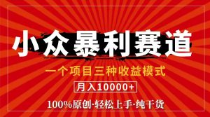 （11695期）视频号【中老年粉深信不疑】小众赛道 100%原创 手把手教学 新号3天收益…-金鼎聊项目