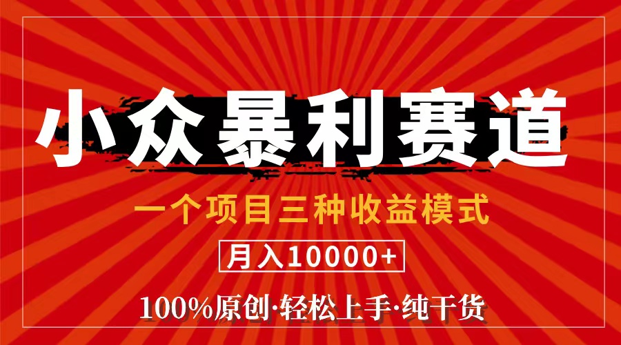 （11695期）视频号【中老年粉深信不疑】小众赛道 100%原创 手把手教学 新号3天收益…-金鼎聊项目