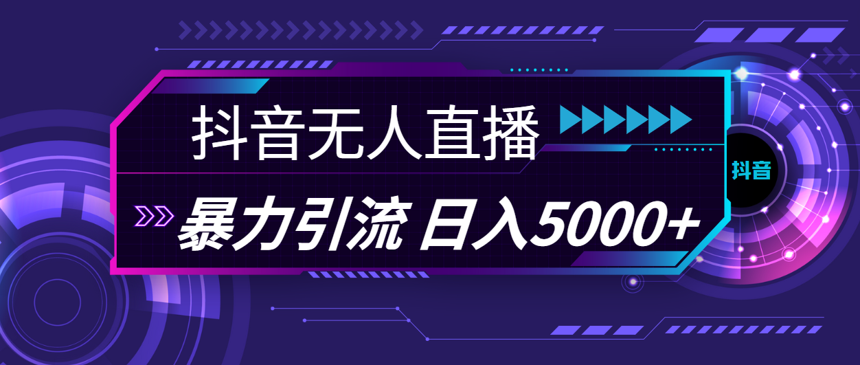 （11709期）抖音无人直播，暴利引流，日入5000+-金鼎聊项目