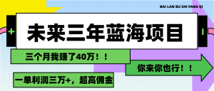 （11716期）未来三年，蓝海赛道，月入3万+-金鼎聊项目