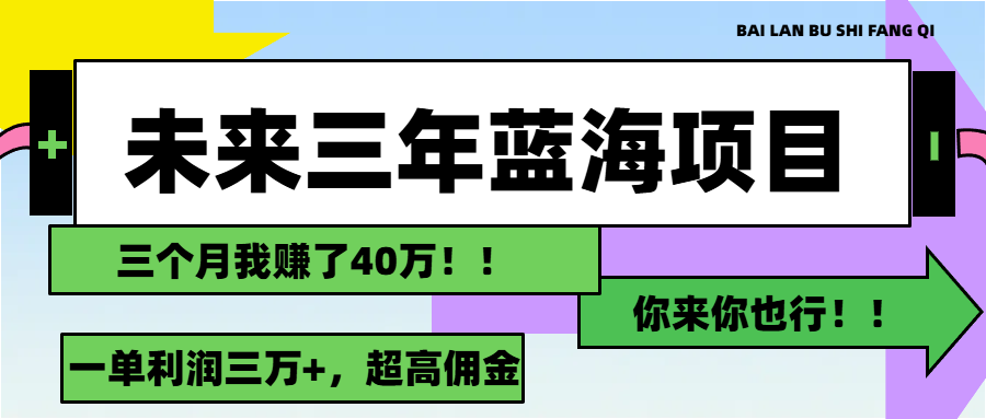 （11716期）未来三年，蓝海赛道，月入3万+-金鼎聊项目