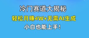 冷门赛道大揭秘，轻松月赚1W+无需AI生成，小白也能上手【揭秘】-金鼎聊项目
