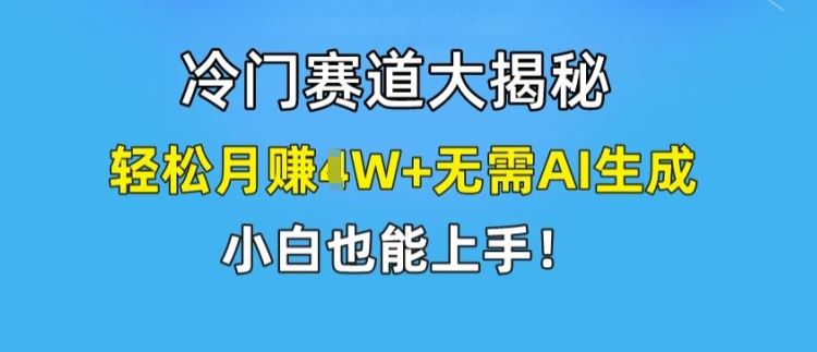 冷门赛道大揭秘，轻松月赚1W+无需AI生成，小白也能上手【揭秘】-金鼎聊项目