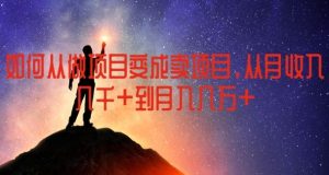 如何从做项目变成卖项目，从月收入几千到月入几万【揭秘】-金鼎聊项目