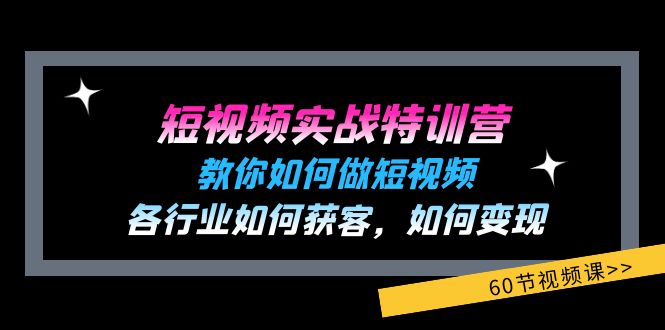 (11729期)短视频实战特训营:教你如何做短视频,各行业如何获客,如何变现 (60节)-金鼎聊项目