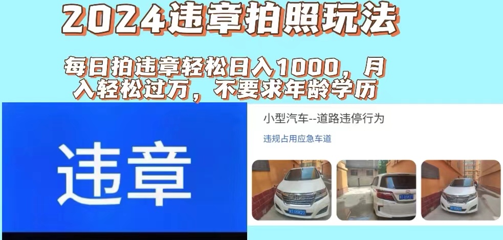 （11743期）2024违章拍照新玩法，推广躺赚+拍照赚钱双模式，日入1000+-金鼎聊项目