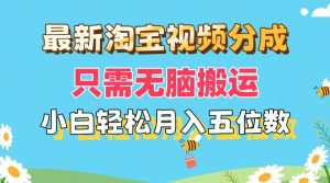 (11744期)最新淘宝视频分成,只需无脑搬运,小白也能轻松月入五位数,可矩阵批量…-金鼎聊项目