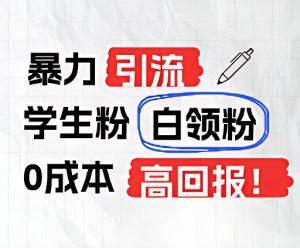 暴力引流学生粉白领粉，吊打以往垃圾玩法，0成本，高回报-金鼎聊项目