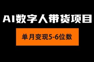（11751期）2024年Ai数字人带货，小白就可以轻松上手，真正实现月入过万的项目-金鼎聊项目
