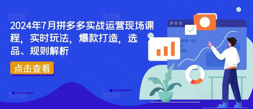 2024年7月拼多多实战运营现场课程，实时玩法，爆款打造，选品、规则解析-金鼎聊项目