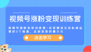 视频号涨粉变现训练营-实现微信生态私域运营的3个维度,达到变现的最大化-金鼎聊项目